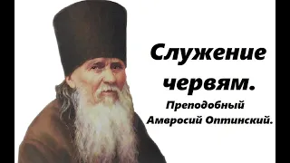 Все силы на жилище червей.  Преподобный Амвросий Оптинский.