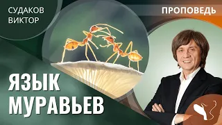 Виктор Судаков | Язык муравьев | Проповедь