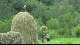 ROMANIAN TRADITIONAL HAYMAKING