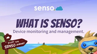 What Is Senso?