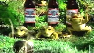 Budweiser Frogs - The Mirror