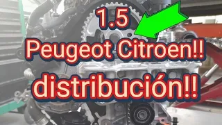Puesta a punto distribución 1.5 Peugeot Citroen