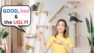 Catification On A Budget: Wall Mounted Cat Shelves (DIY + Product Critique)