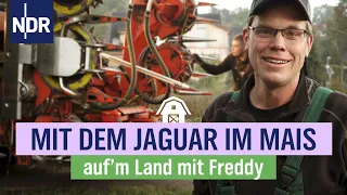 Freddys wichtigste Ernte – das erste Mal mit eigenem Maishäcksler | Folge 10 | NDR auf'm Land