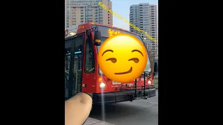 Route 10 oc transpo passenger timelapse view!