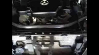 2003 Mercedes-Benz E500 Engine