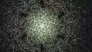 progressive psytrance psychedelic visuals