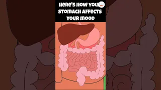 The Gut-Brain Axis: How Microbes in Your Gut Affect Your Mood and Emotions