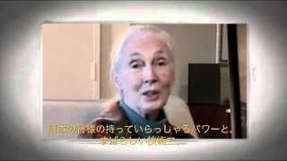 Jane Goodall - Message of Solidarity to the People of Japan