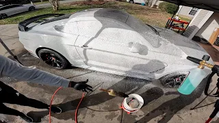 Edwin's Ford GT350 Gets A Paint Correction!