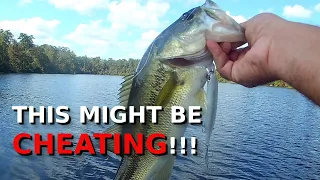 The EASIEST Way To Catch Late Fall Bass!!!