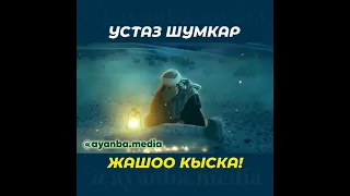 ЖАШОО КЫСКА!