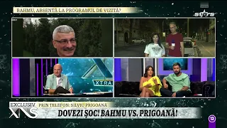 Adriana Bahmuțeanu și Silviu Prigoană, războiul orgoliilor în numele copiilor?