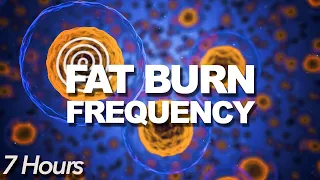 RAPID FAT BURN FREQUENCY | 7-Hour Intense Weight Loss Subliminal