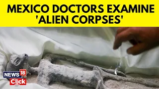 Mexico Aliens Corpses Study |  Bodies Of Purported "Non-Human" Beings To Mexican Congress | N18L