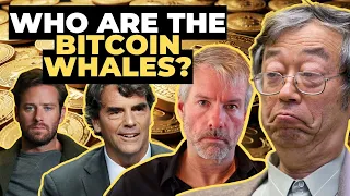 Bitcoin Whales: Who are the largest holders of the cryptocurrency?
