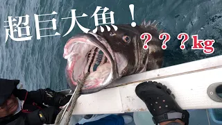 【八坂丸】３桁越え❗️日本海最大級の超巨大モンスター出現【巨大魚】【イシナギ】