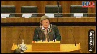 Budget - 2011 - Familie - Anneliese Kitzmueller, FPÖ
