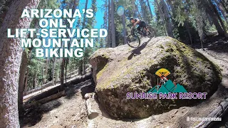 Sunrise Park Resort | Arizona's Only Lift-Serviced MTB