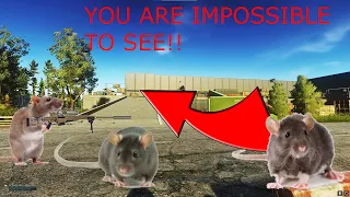 Best Sniping Spot on Interchange!! (RATS LOVE THIS SPOT!!)