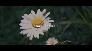 Black Forest 4 | Cinematic Short Film | α7Ⅳ × FE 40mm F2.5 G