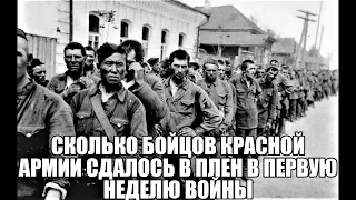 Сколько бойцов Красной Армии сдалось в плен в первую неделю войны