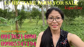 Vlog499: 1.5 HECTARE COCONUT FARM WITH MT MALARAYAT VIEW FOR SALE IN LIPA CITY BATANGAS PHILIPPINES