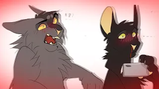 Dude no, you gotta go like aye | Warriors Cats | Animatic