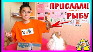 В ПОСЫЛКЕ ПРИСЛАЛИ РЫБУ ДЛЯ ВАСИ / РАСПАКОВКА ПОСЫЛОК / Alisa Easy Pets