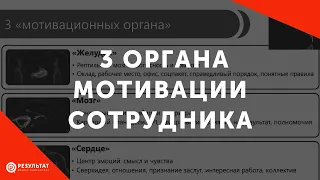 3 "мотивационных органа" ваших сотрудников