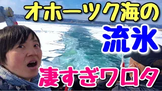 オホーツク海の流氷なめてました！船に乗って白銀世界を見にいく【網走オーロラ号】