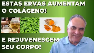 Estas 3 ervas aumentam o colágeno e rejuvenescem seu corpo! | Dr. Marco Menelau