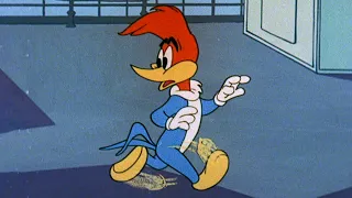 Run and Hide Woody! | Woody Woodpecker