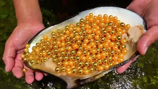 I awakened the pearl clam that had been sleeping for a hundred years, and it brought me great wealth