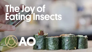 The Joy of Eating Insects | Gastro Obscura