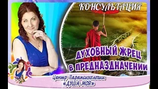 Духовный жрец на пути предназдначения | Духовный жрец на пути предназдначения★ [#YouTube_карма]