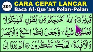 BELAJAR MENGAJI QURAN Cara Mudah Cepat Lancar Membaca Alquran Pelan-Pelan QS. AN NAHL 77-89