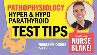 Hypoparathyroidism vs Hyperparathyroidism: NCLEX Pathophysiology Endocrine Review with Nurse Blake