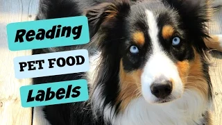 Nutrition 101: Reading Your Dog's Food Label |Life With Aspen|