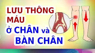 12 Thực Phẩm LƯU THÔNG MÁU ở CHÂN và BÀN CHÂN | EVA COCO