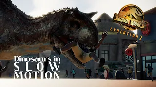 Carnotaurus hunting humans | SLOW MOTION | - Jurassic World Evolution 2