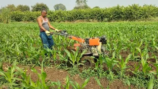 power weeder|power tiller|power tiller tractor|back rotary power weeder|12hp powerweeder#powerweeder