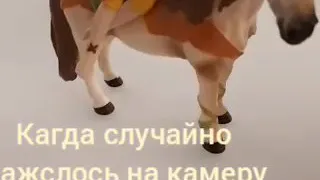 Прикол ...."Кагда случайно нажалось на камеру"....😅