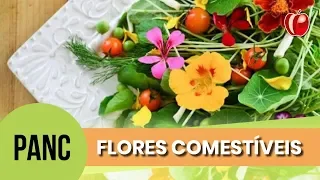 Os Benefícios De COMER FLORES | Conhecendo as PANC | VP Nutrição Funcional