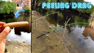 Learning how to catch CATFISH in Massachusetts (Summer Catfishing)