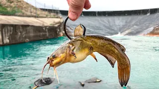 This Spillway was Hiding a MONSTER!!! (I FINALLY Caught One!)