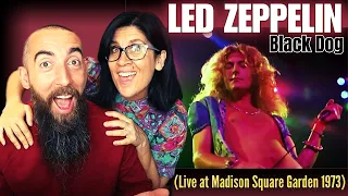Led Zeppelin - Black Dog (Live at Madison Square Garden 1973) (REACTION) with my wife