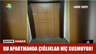 Bu apartmanda çığlıklar hiç susmuyor!