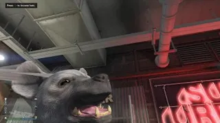GTA Online | Raw Footage Of A Hyena In Heat