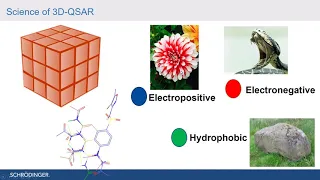 Ligand Based Approach QSAR & Pharmacophore Modelling